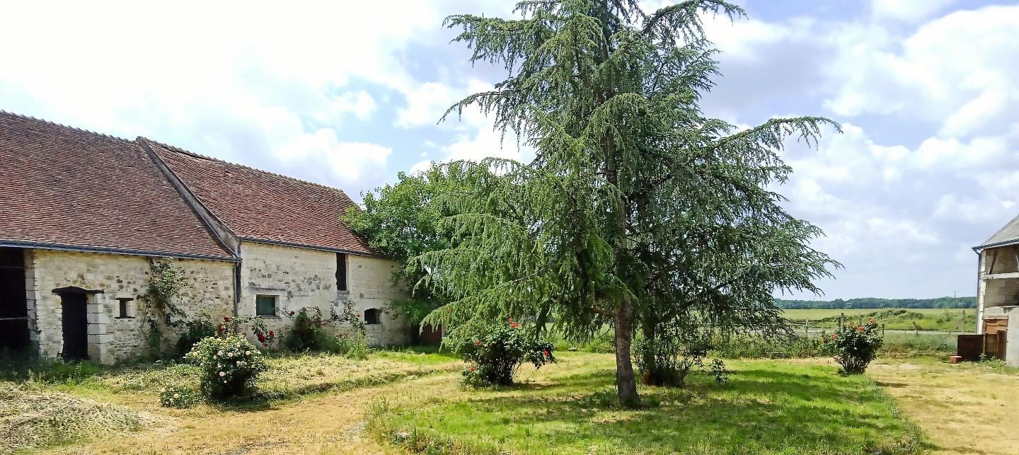Camping Indre-et-Loire À la campagne