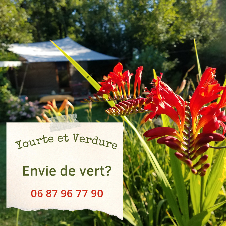 Yourte et Verdure