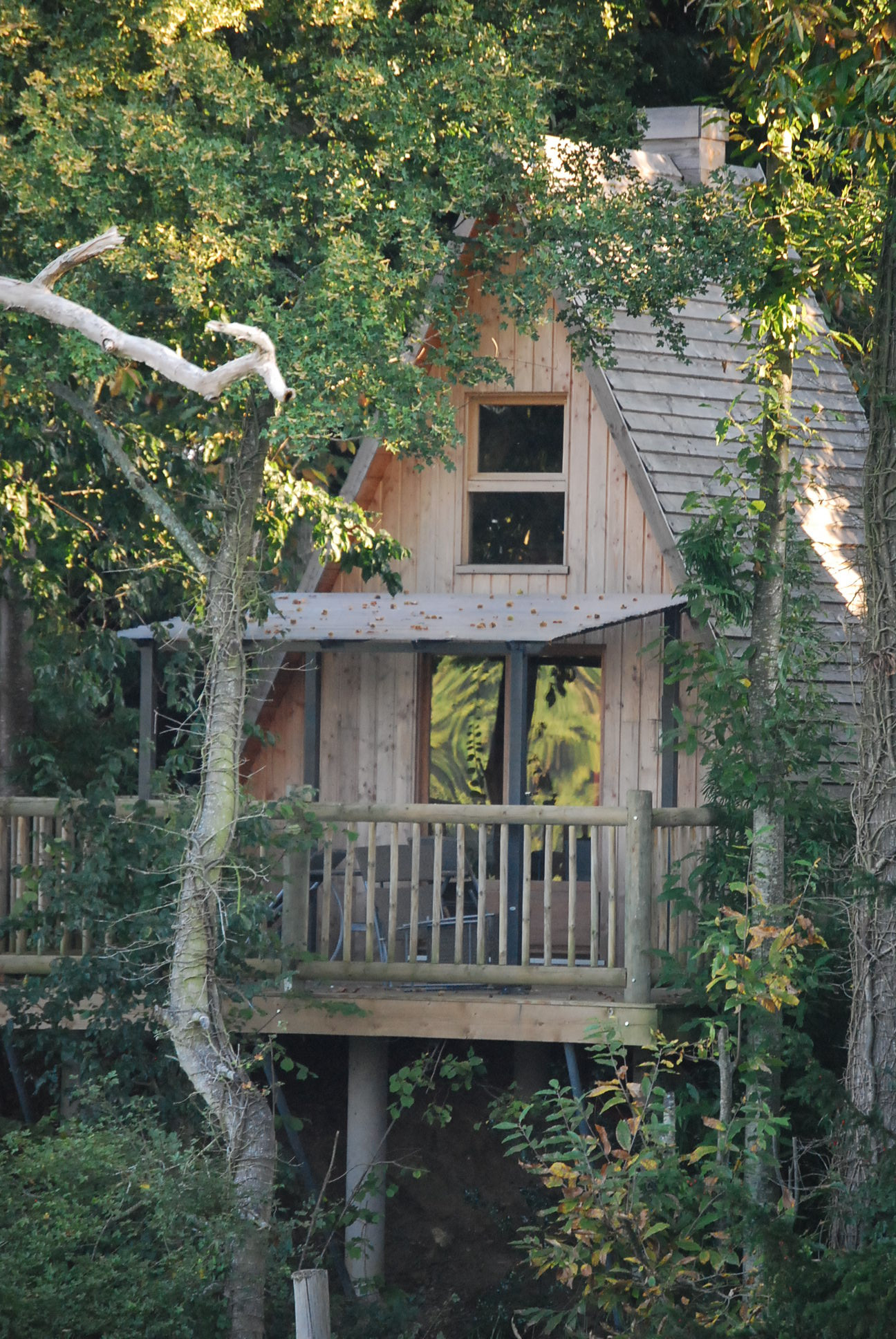 orderedImageAlt_accommodation_default
