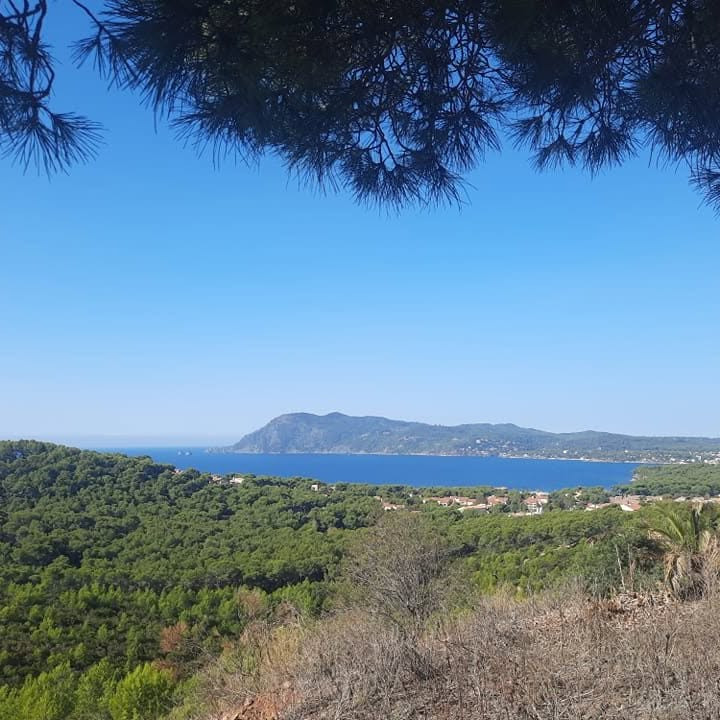 GreenGo - Voyageur GreenGo - Gilles