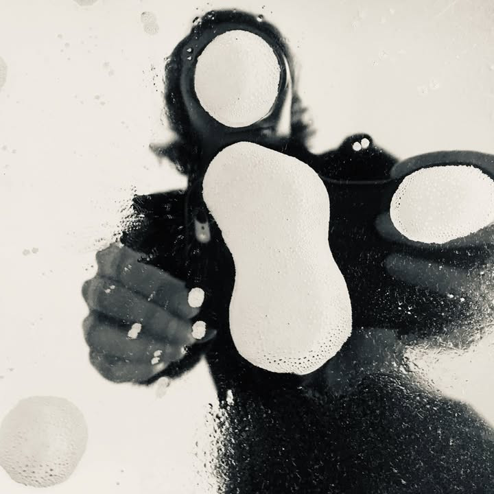 GreenGo - Voyageur GreenGo - Liocha