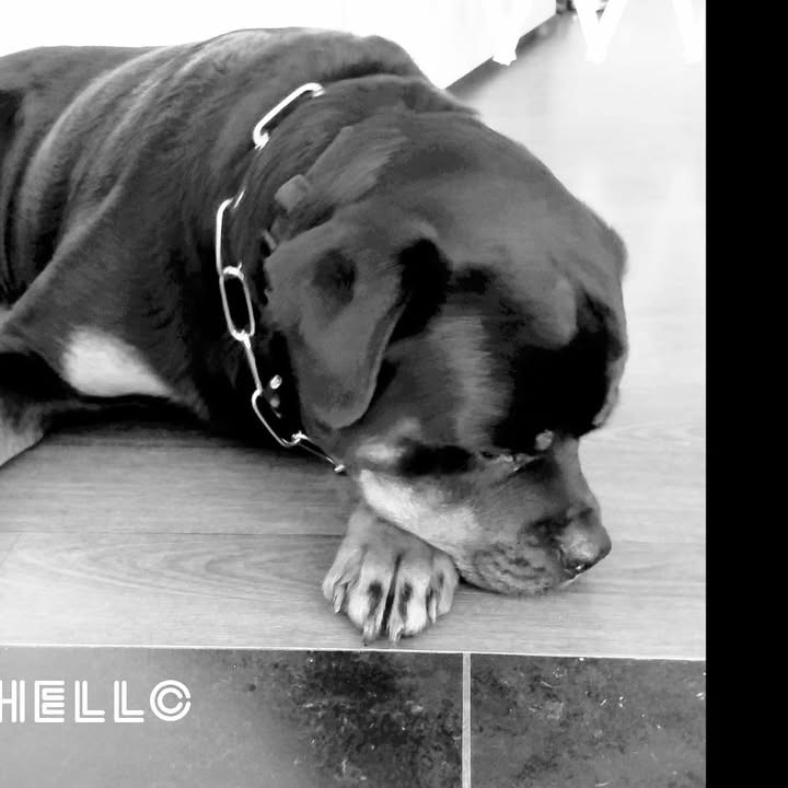 GreenGo - Voyageur GreenGo - Corinne