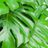 GreenGo - Voyageur GreenGo - Aurélie