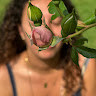 GreenGo - Voyageur GreenGo - Aurore