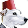 GreenGo - Voyageur GreenGo - Charles