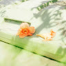 GreenGo - Voyageur GreenGo - Coline