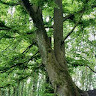 GreenGo - Voyageur GreenGo - Florent