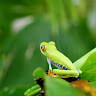 GreenGo - Voyageur GreenGo - Frédérique