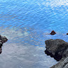 GreenGo - Voyageur GreenGo - Isabelle