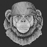 GreenGo - Voyageur GreenGo - Jean-Philippe