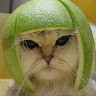 GreenGo - Voyageur GreenGo - Julien