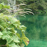 GreenGo - Voyageur GreenGo - Laury
