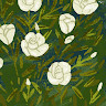 GreenGo - Voyageur GreenGo - Maggy