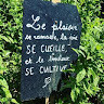 GreenGo - Voyageur GreenGo - Lucile