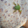 GreenGo - Voyageur GreenGo - Mélanie