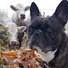 GreenGo - Voyageur GreenGo - Nora