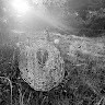 GreenGo - Voyageur GreenGo - sandrine
