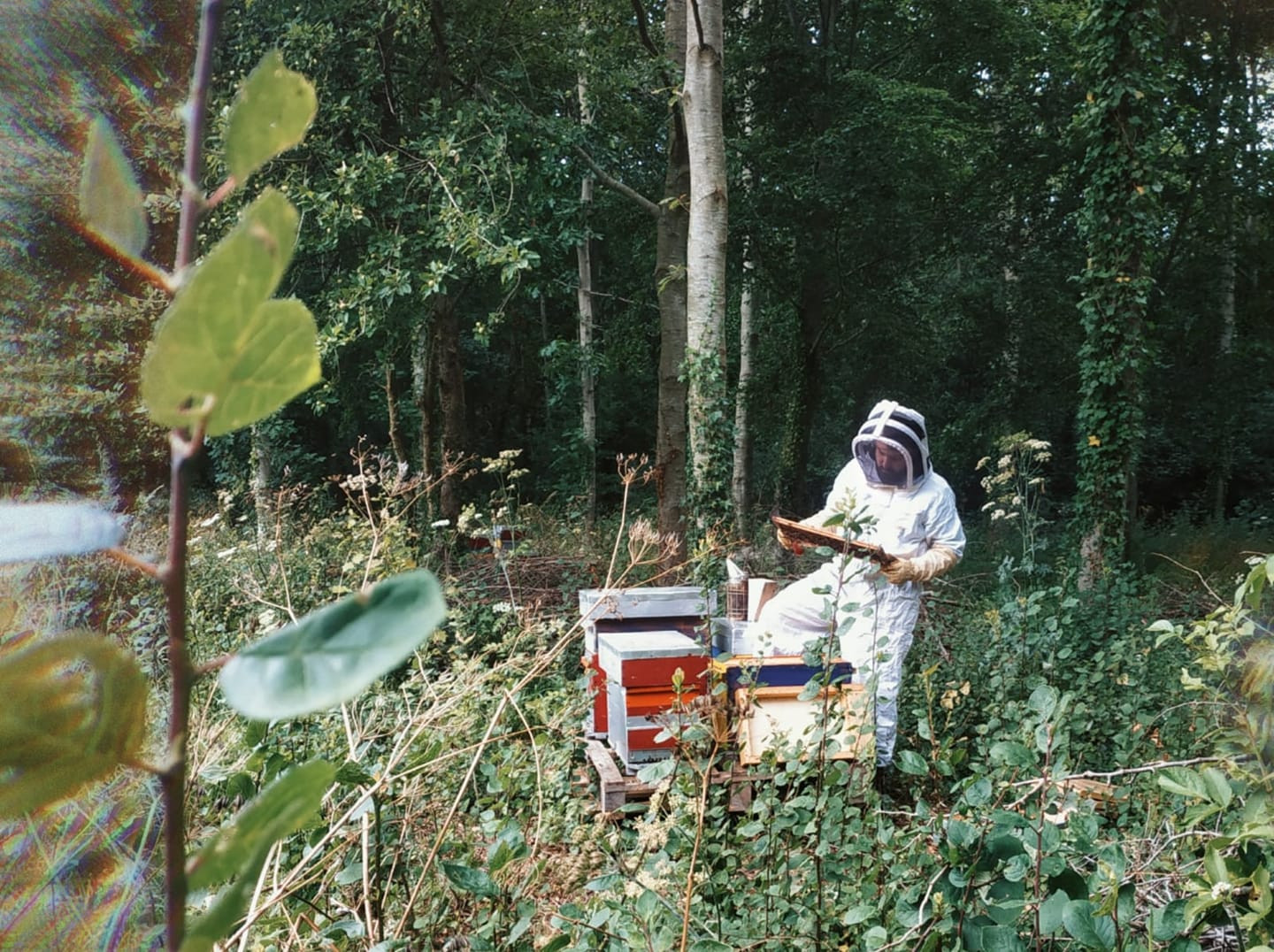 Image de Simon