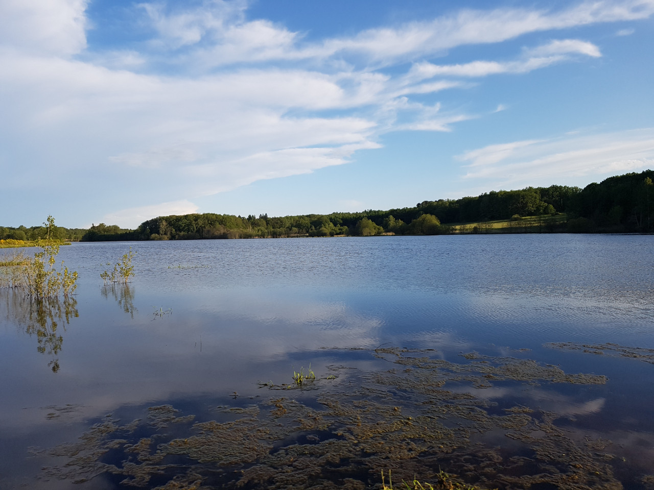 Hôte GreenGo: LA RIBIERE