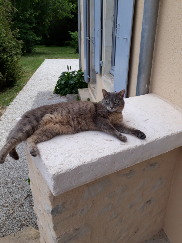 Image de Sandra