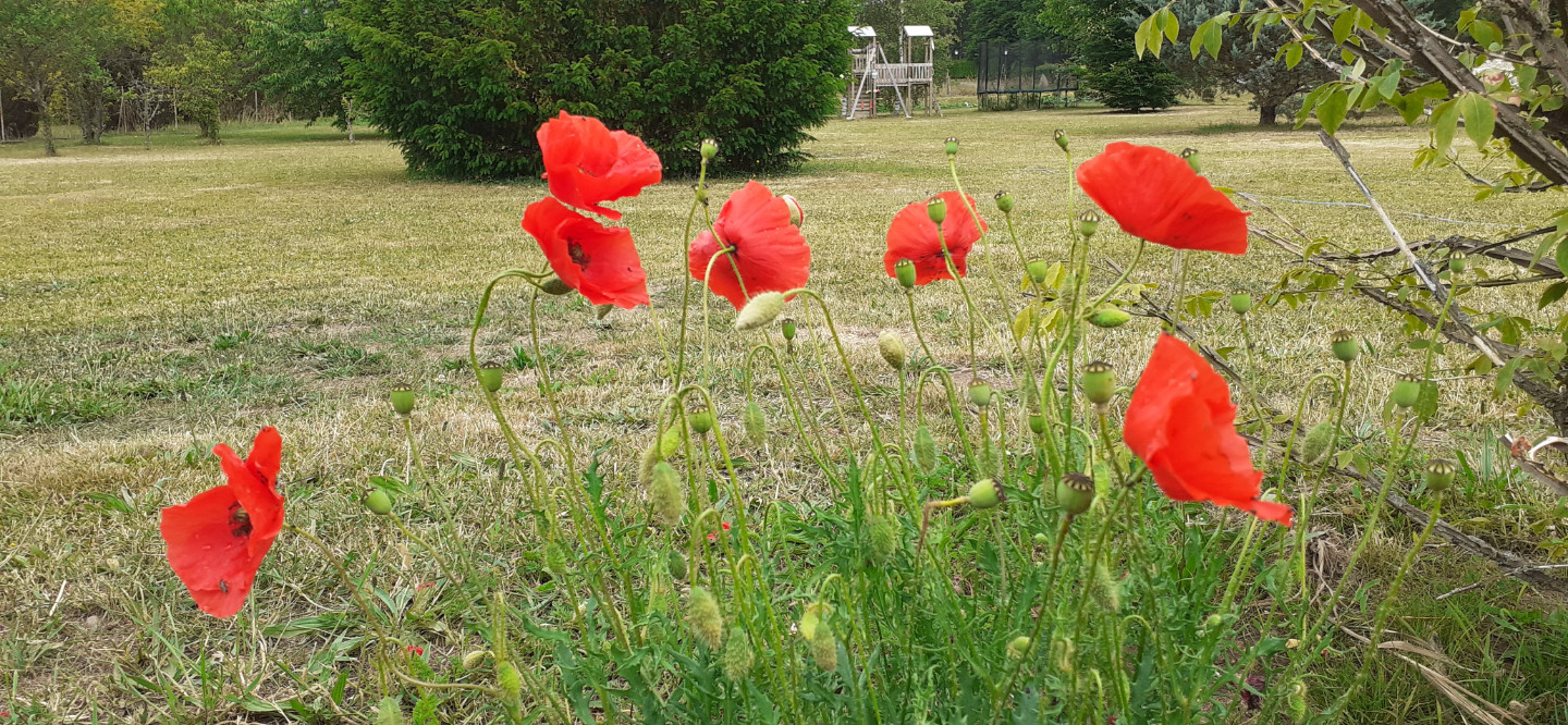 Image de Stéphanie