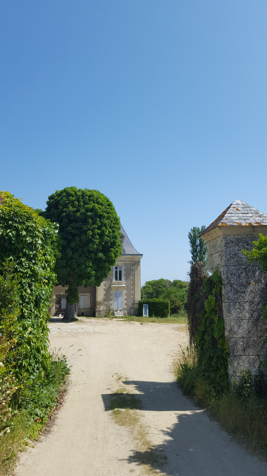 Image de Michaël et Laurine