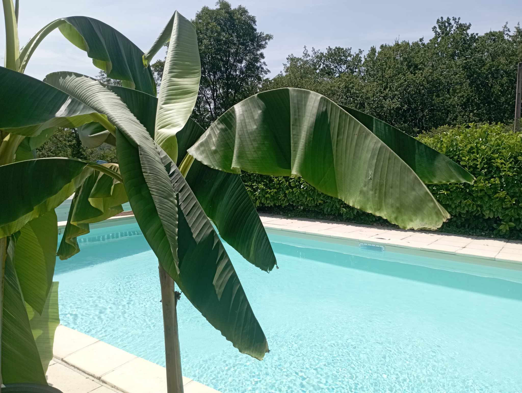 Hôte GreenGo: Les Gîtes du Carpe Diem