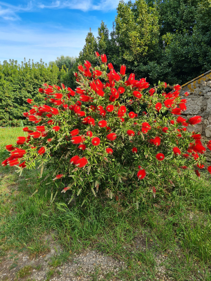 Image de Emilie
