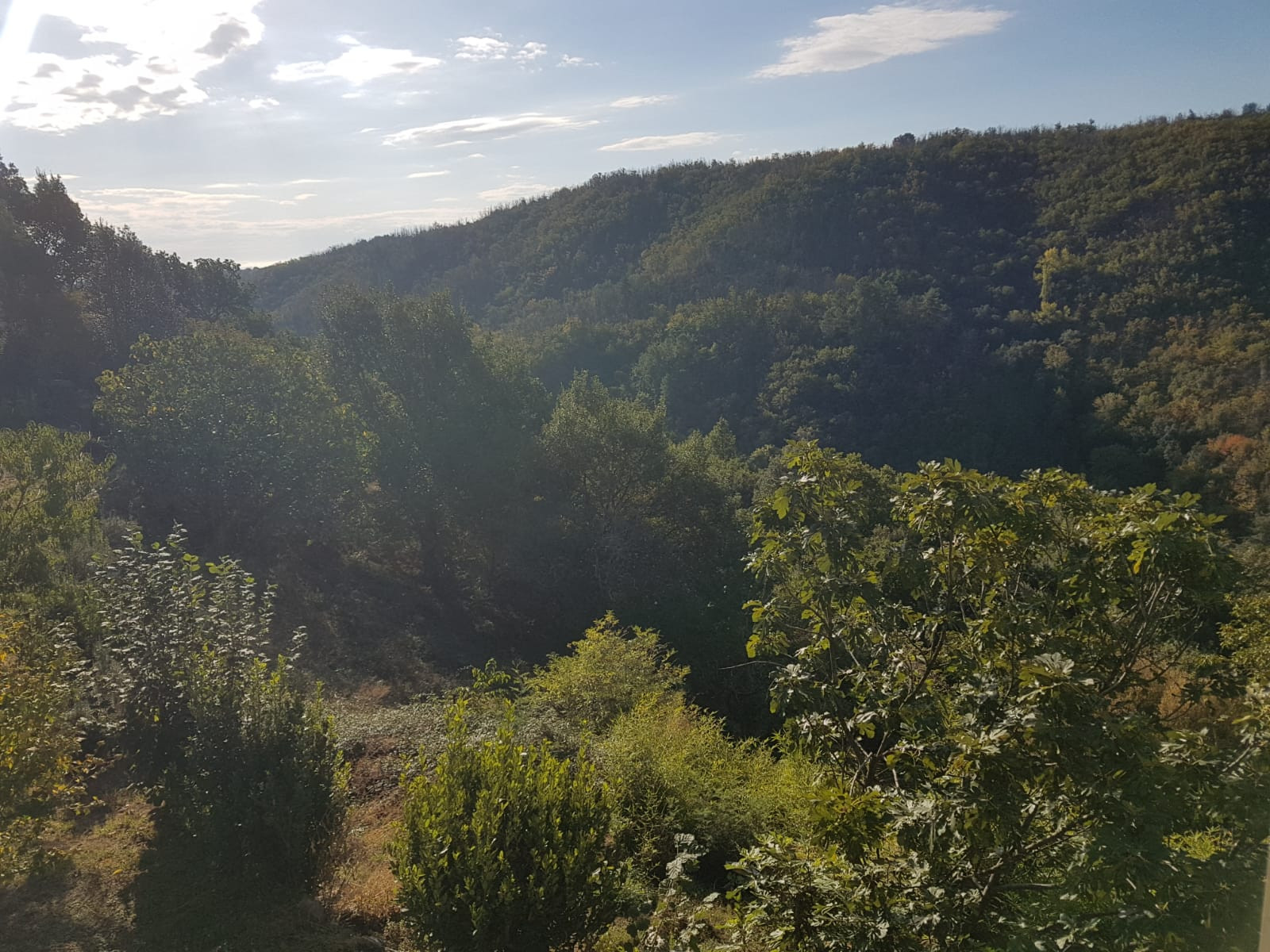 Hôte GreenGo: Maud, Roman et Marianne