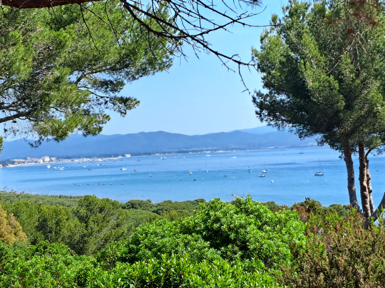 Hôte GreenGo: Carole