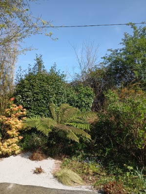 Image de Nancy