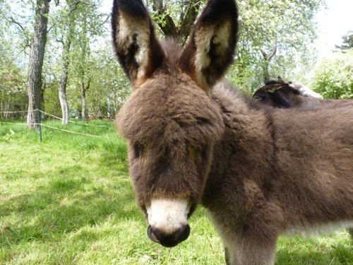 Hôte GreenGo: Guillaume, Marie et Emilie