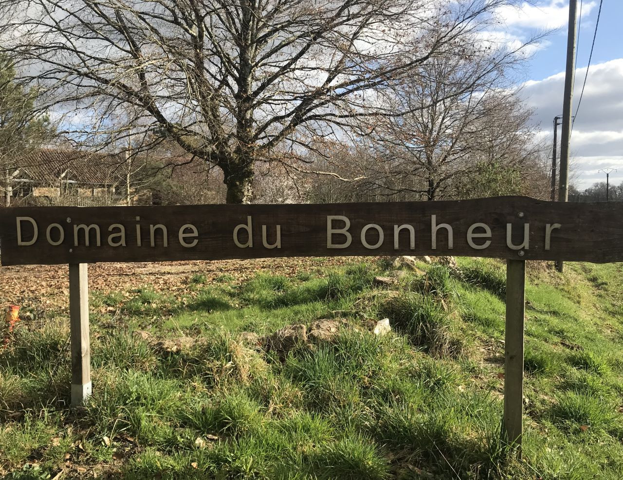 Image de La Coquille du Bonheur