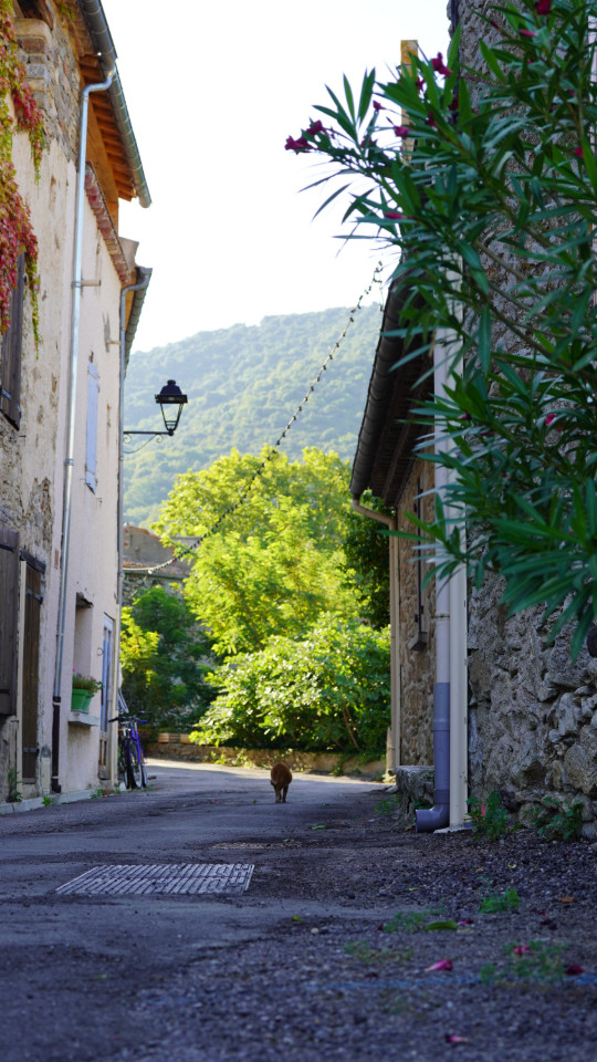 Hôte GreenGo: Maison Célestine