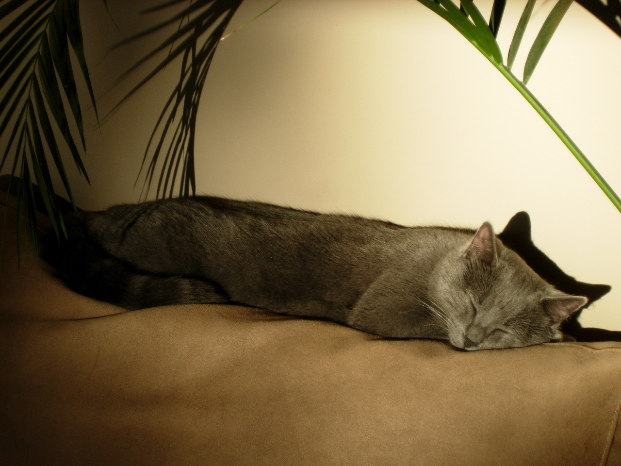 Image de Didier
