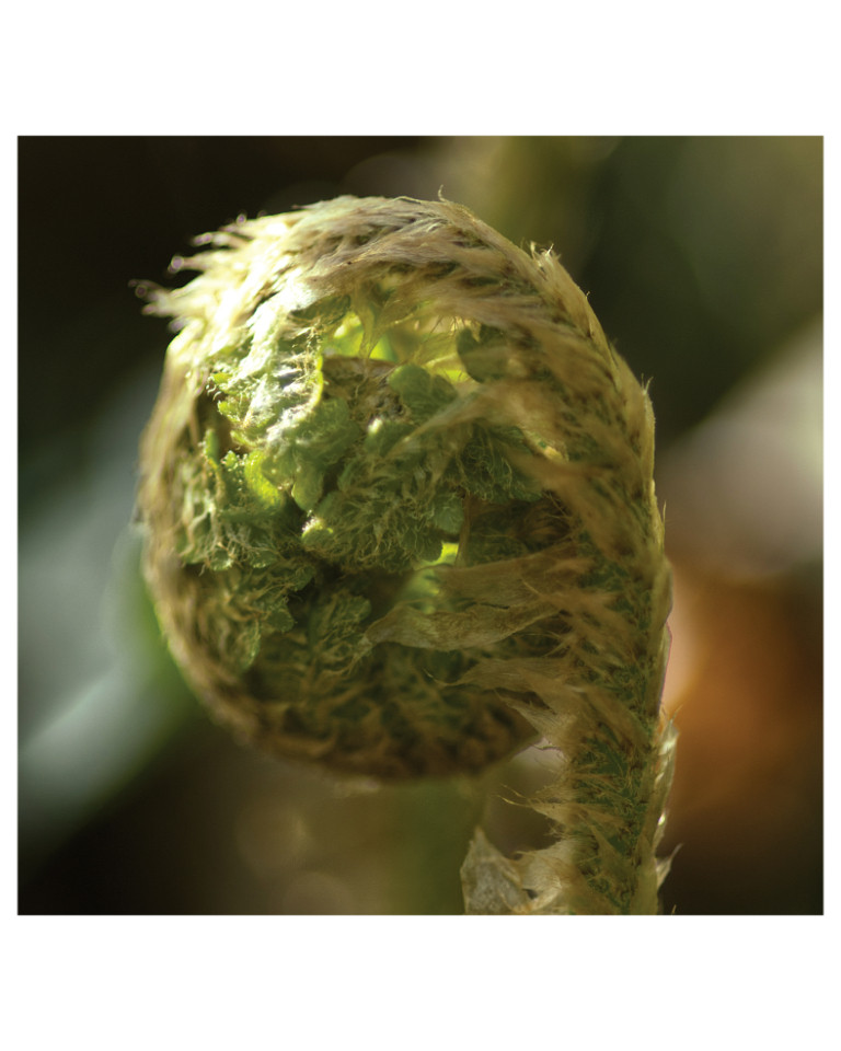 Hôte GreenGo: Sophie/Gaëtan