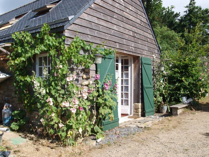 Image de Stephanie