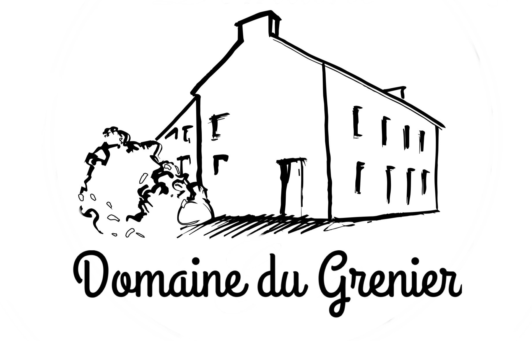 Image de David