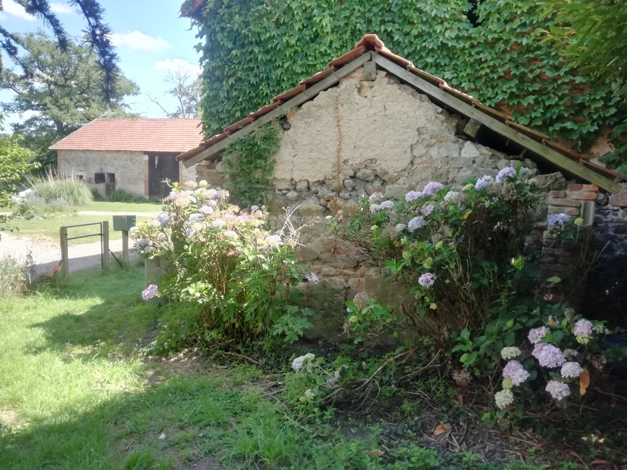 Image de Yvon