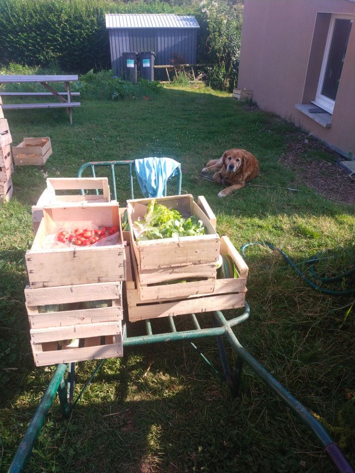 Hôte GreenGo: Aude