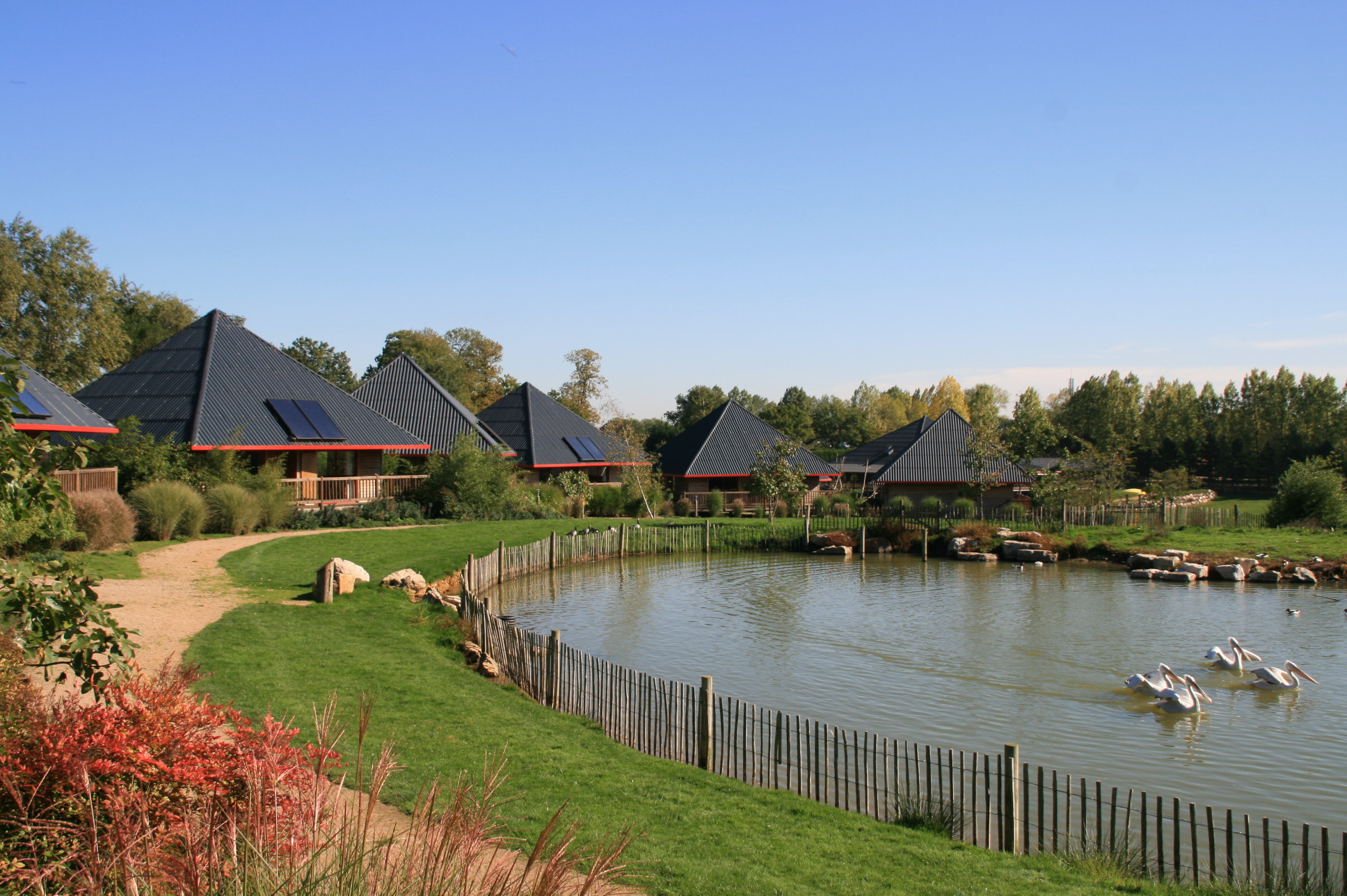 Hôte GreenGo: Cerza Safari Lodge