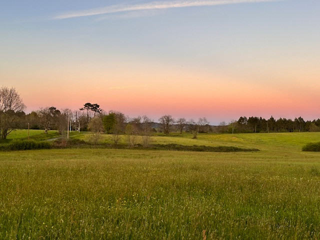 Image de Thierry