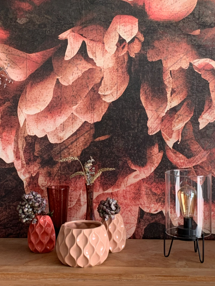 Image de Christine-rose