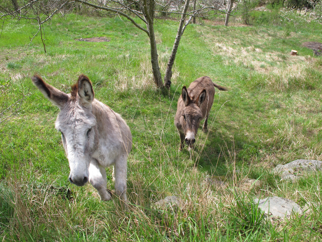 Hôte GreenGo: Maxime
