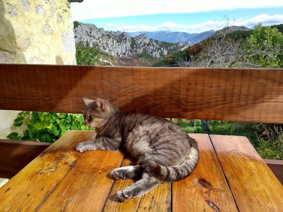 Image de Zoé