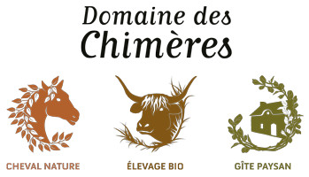 Hôte GreenGo: Gaëlle, Morgan et Sophie