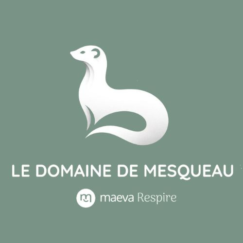 Image de Domaine de Mesqueau