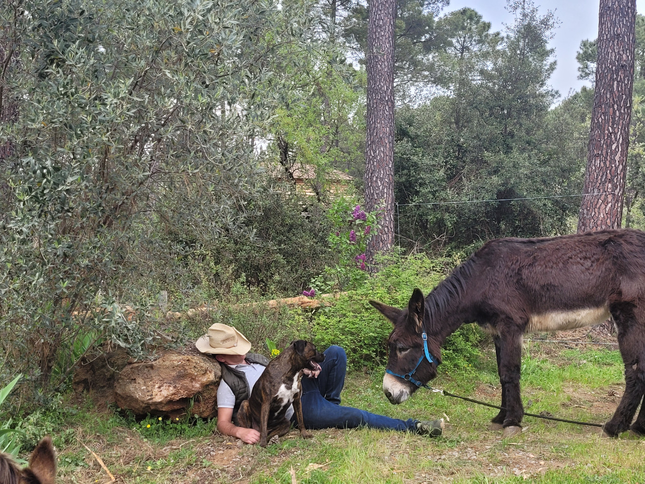 Hôte GreenGo: Emmanuel