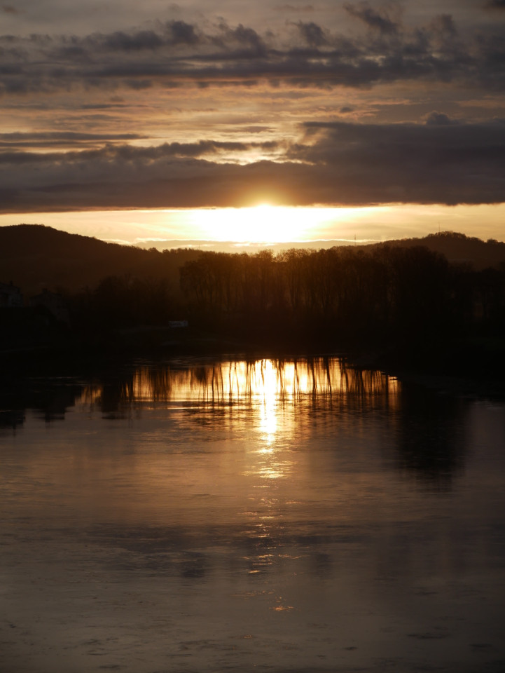 Image de Viviane
