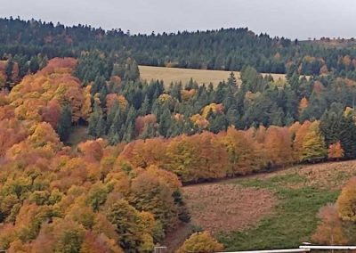 Hôte GreenGo: PRADEILLES